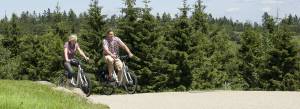 Active holiday including mountain biking in the Black Forest National Park