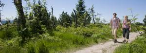 Aktivurlaub mit Wanderungen im Nationalpark Schwarzwald