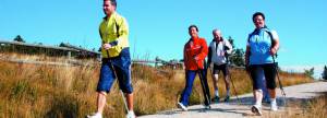 Nordic Walking Urlaub im Schwarzwald im Sommer