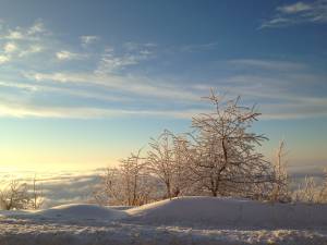 Cross-country skiing in the Black Forest