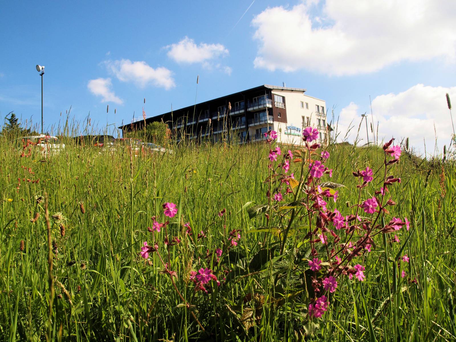 Sommer, Sonne & Natur Pur Symbolfoto