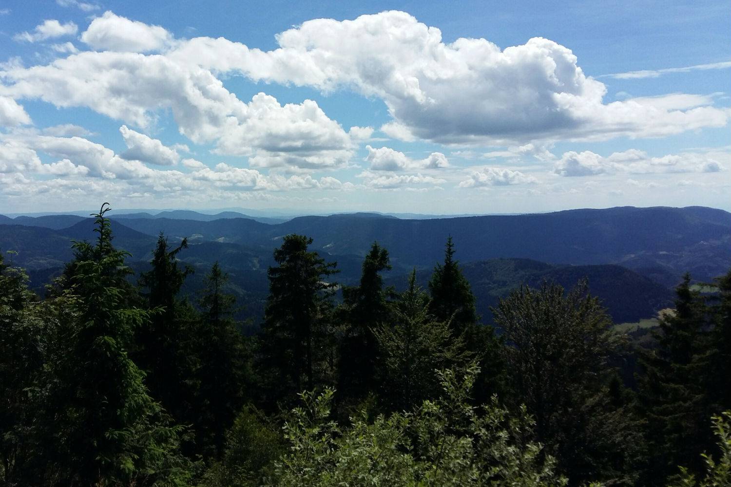 Mein Basenfasten-Tagebuch Tag 2 Symbolfoto