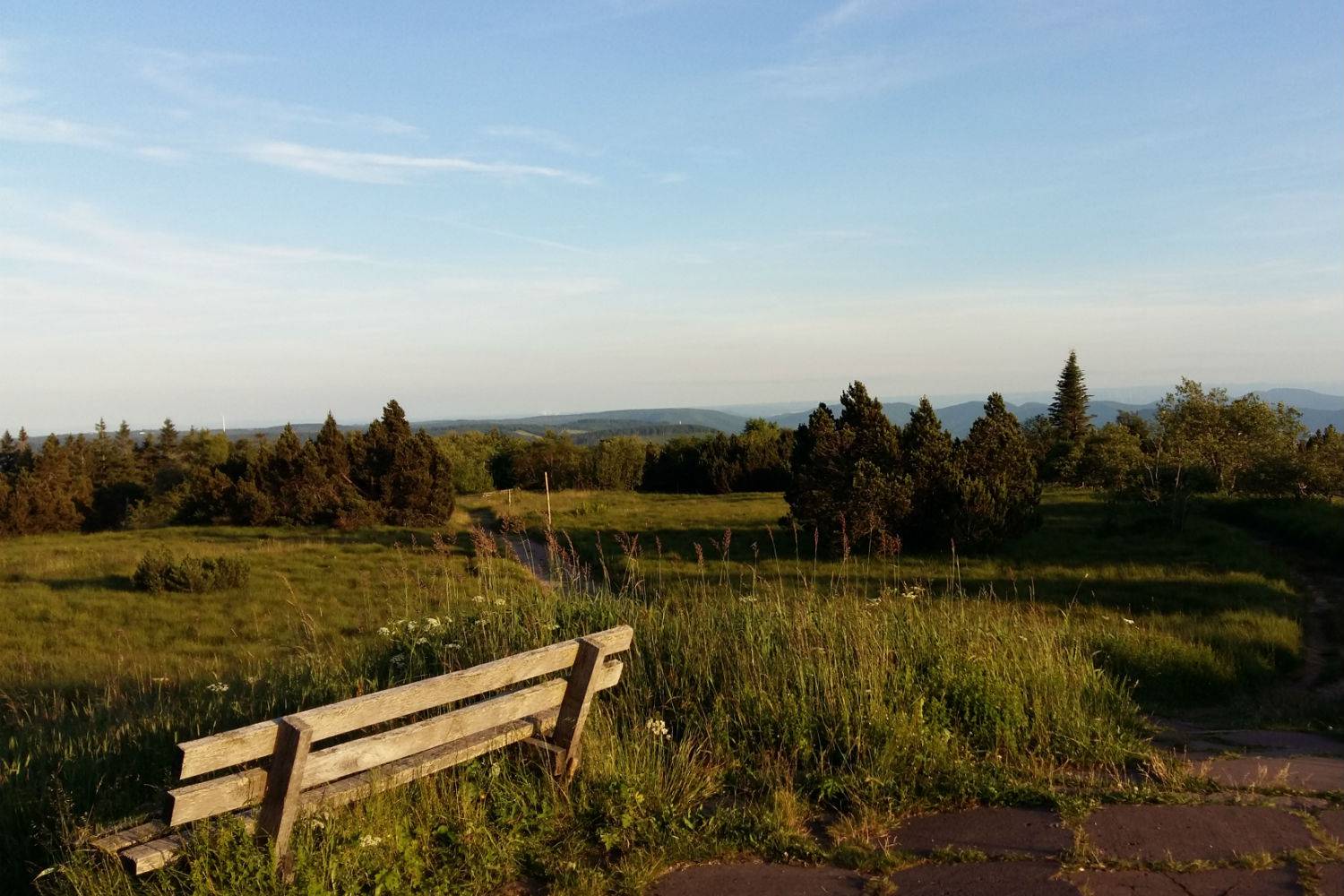 Mein Basenfasten-Tagebuch Tag 4 Symbolfoto