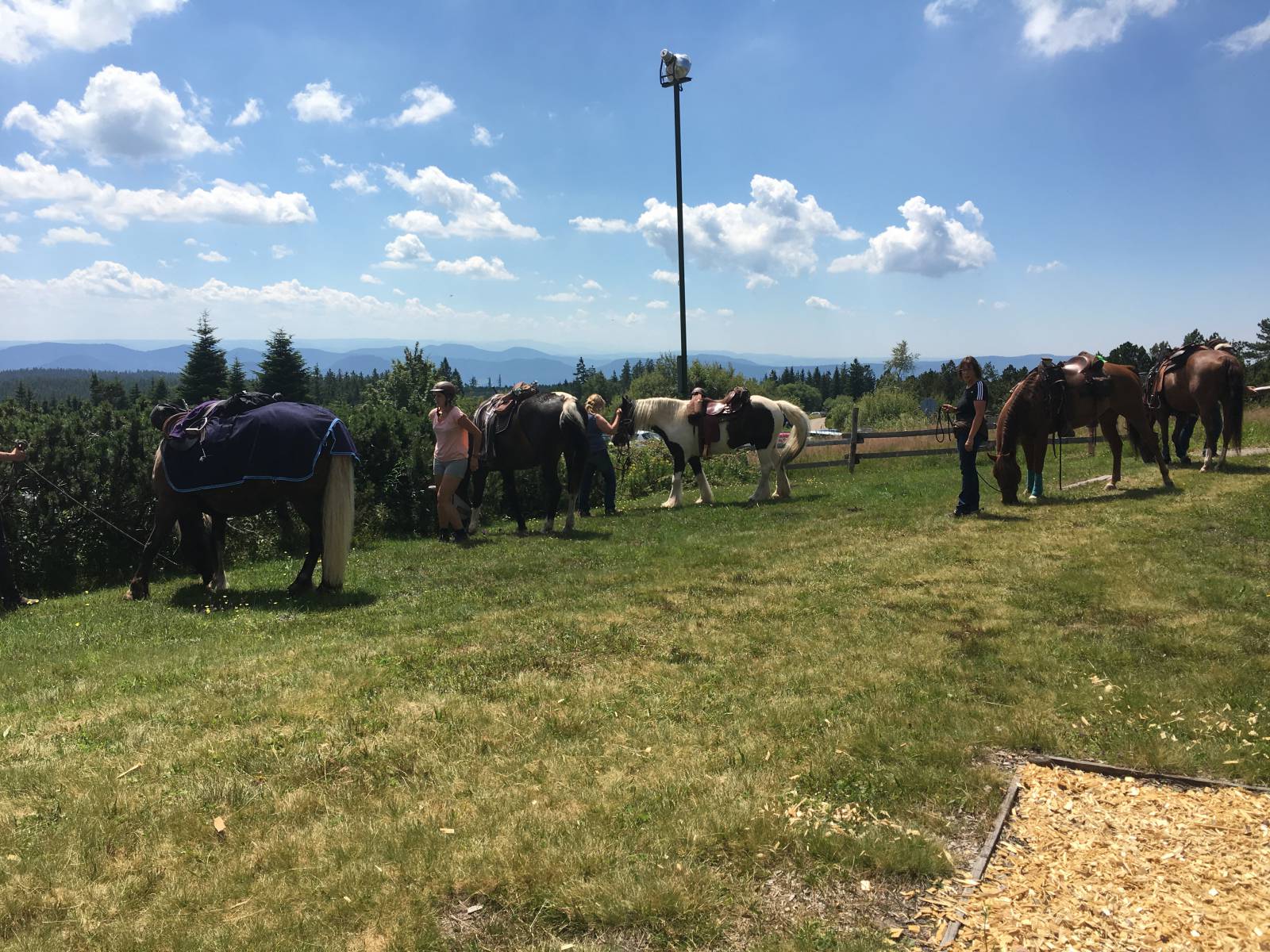 Besondere Gäste! Symbolfoto