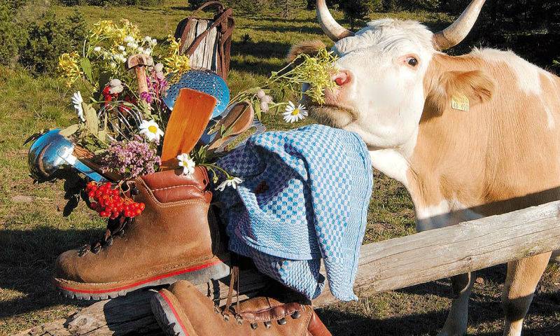 Schliffkopf-Grindenfest Symbolfoto