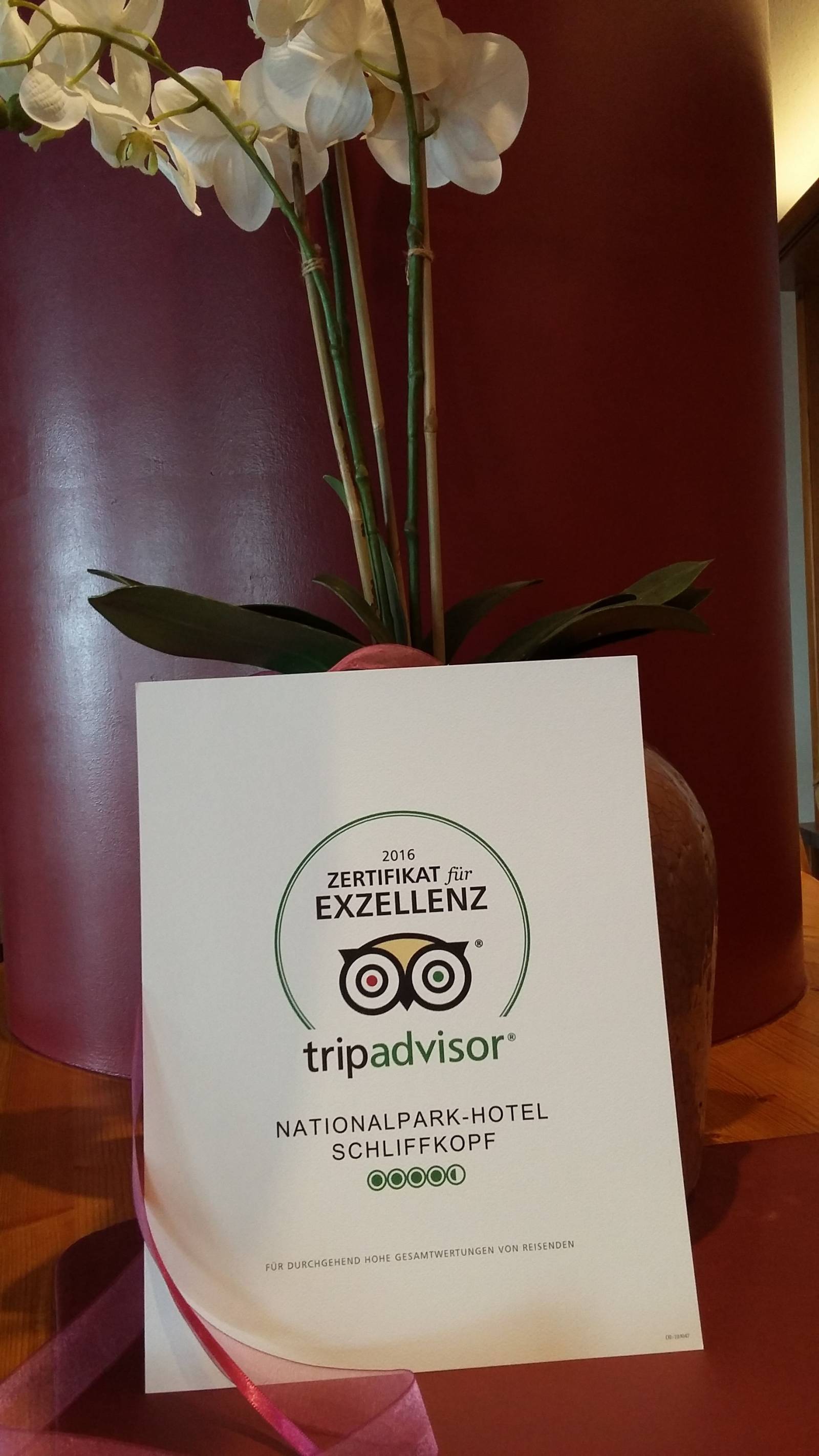 Zertifikat von tripadvisor! Symbolfoto