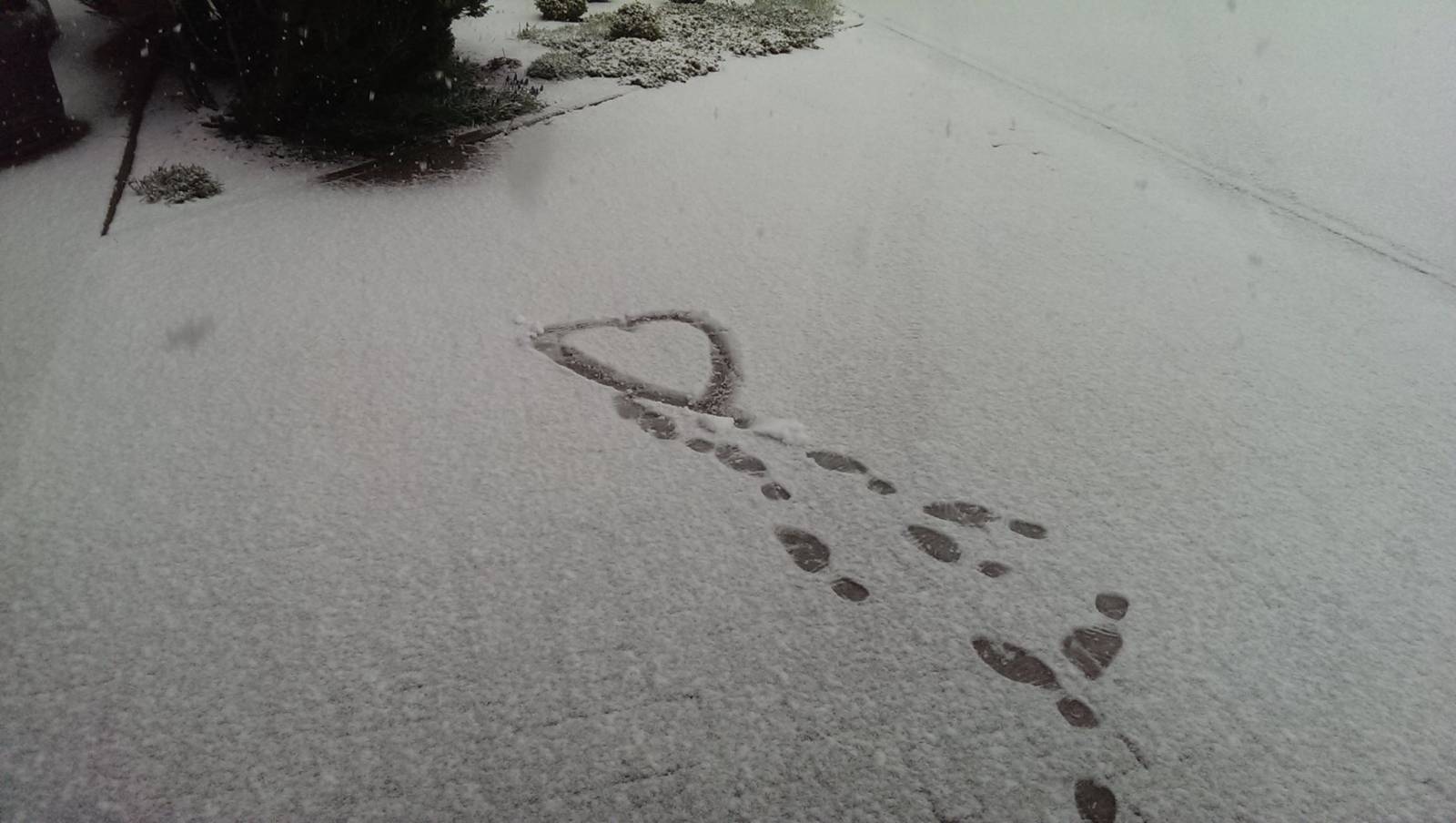 Ostern auf dem Schliffkopf Symbolfoto