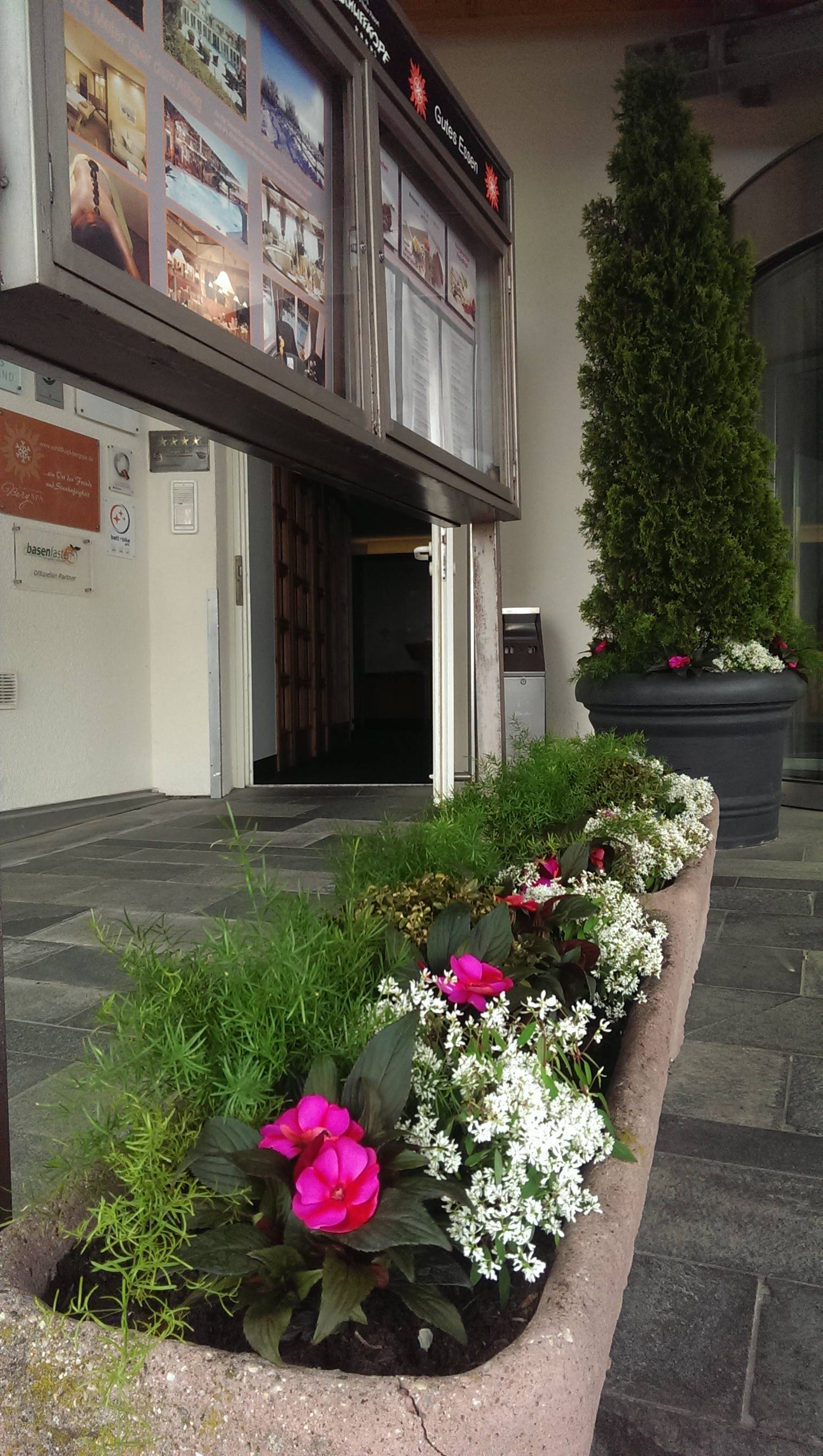 Blütenzauber vor dem Eingangsbereich Symbolfoto