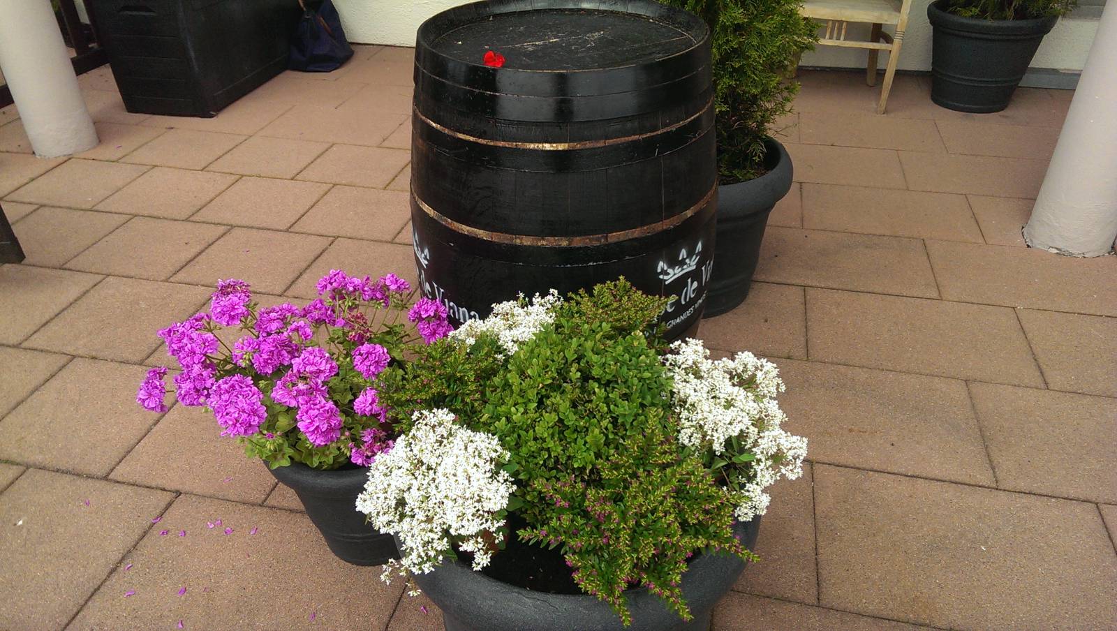 Blütenzauber vor dem Eingangsbereich Symbolfoto