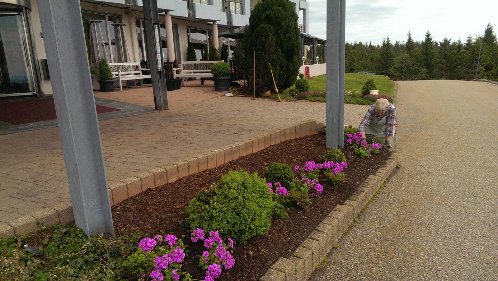 Blütenzauber vor dem Eingangsbereich Symbolfoto