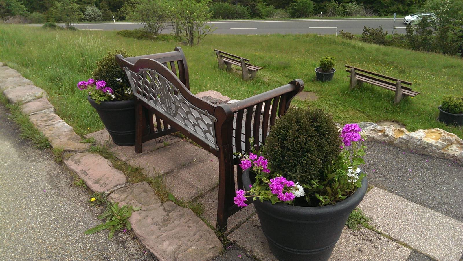 Blütenzauber vor dem Eingangsbereich Symbolfoto