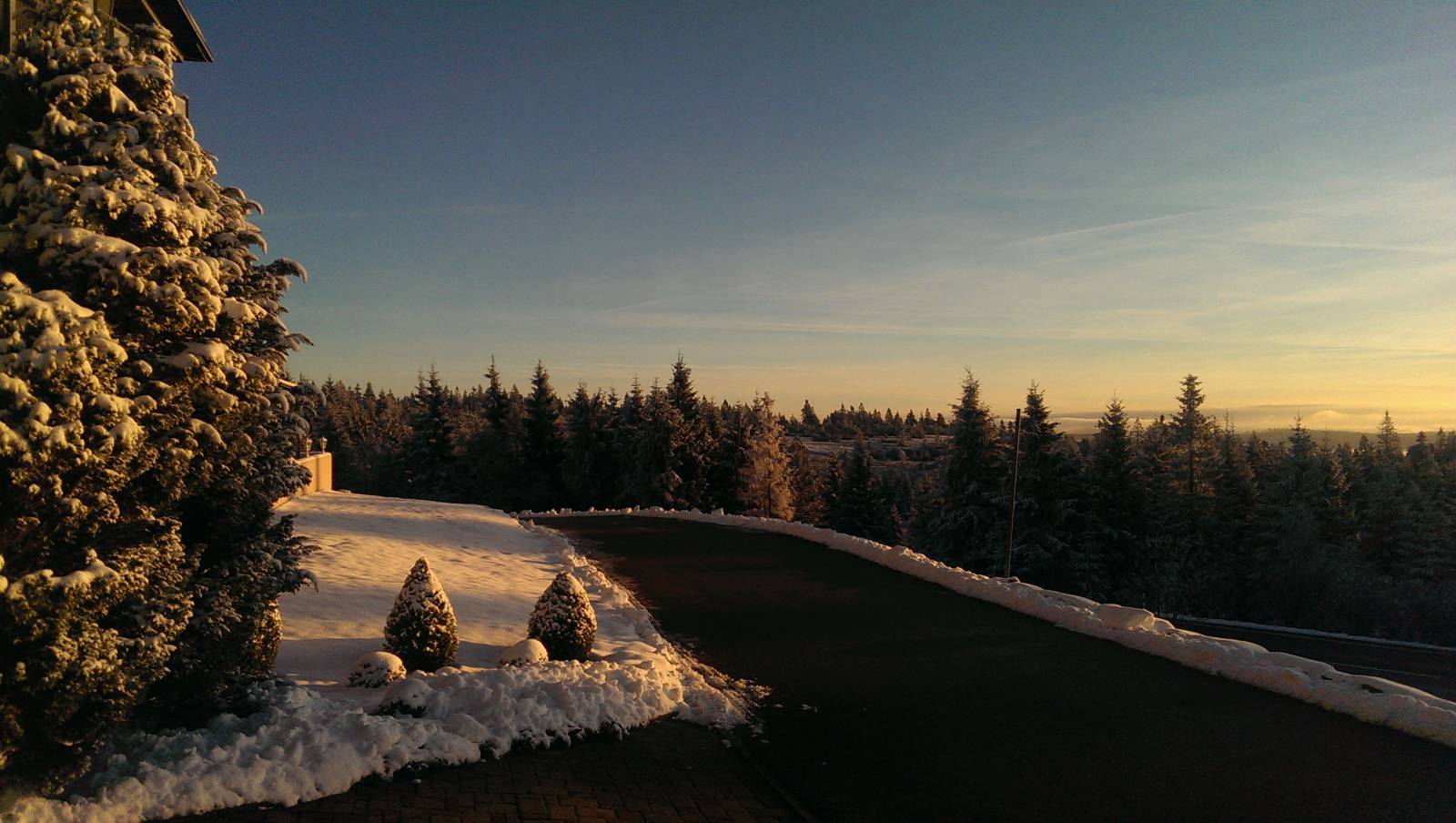 Frühwinterliche Momente Symbolfoto