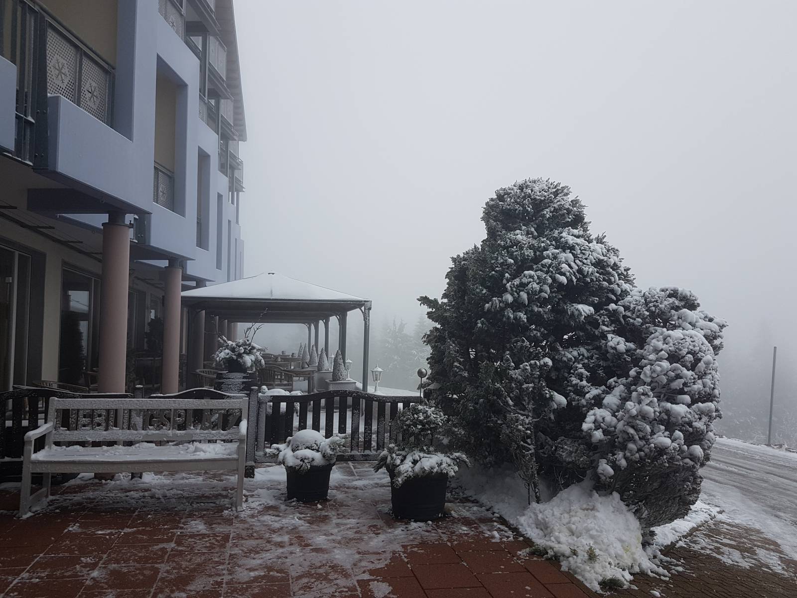 Die ersten Schneeflocken Symbolfoto