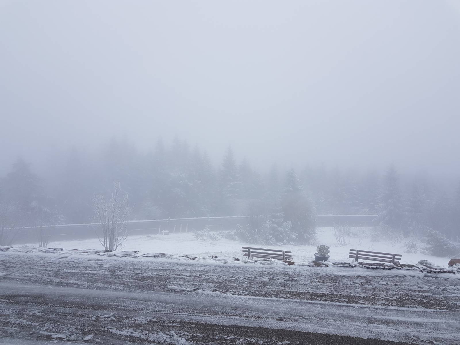 Die ersten Schneeflocken Symbolfoto