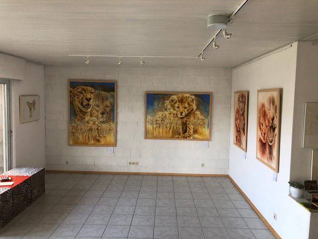 Afrika-Wochenende Symbolfoto