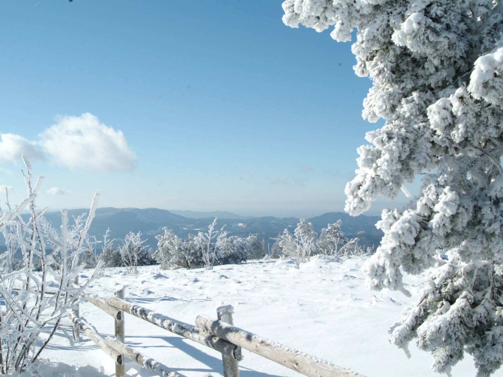 Winterwonderland Symbolfoto