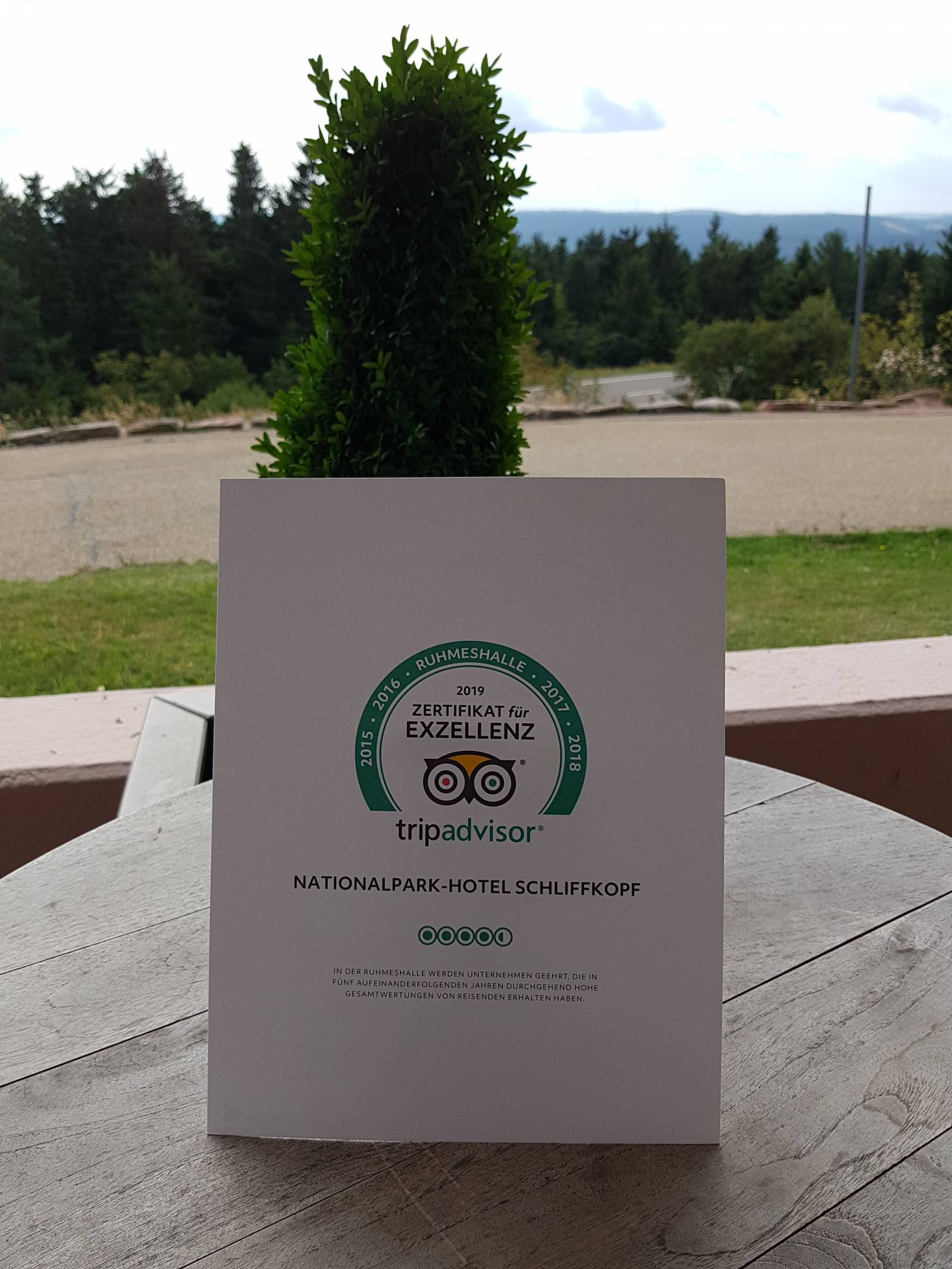 Auszeichnung tripadvisor Symbolfoto