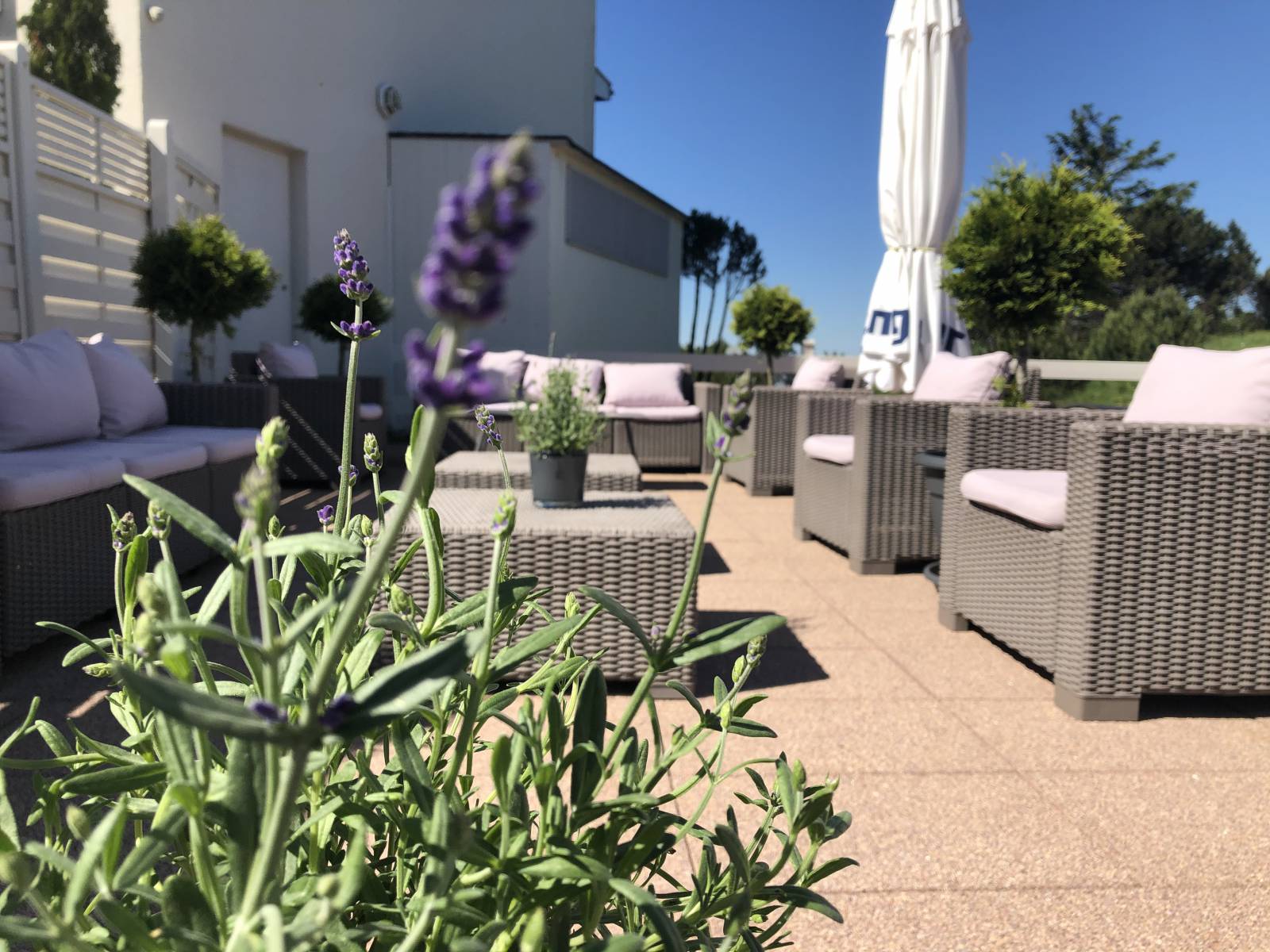 Sommerimpressionen  Symbolfoto