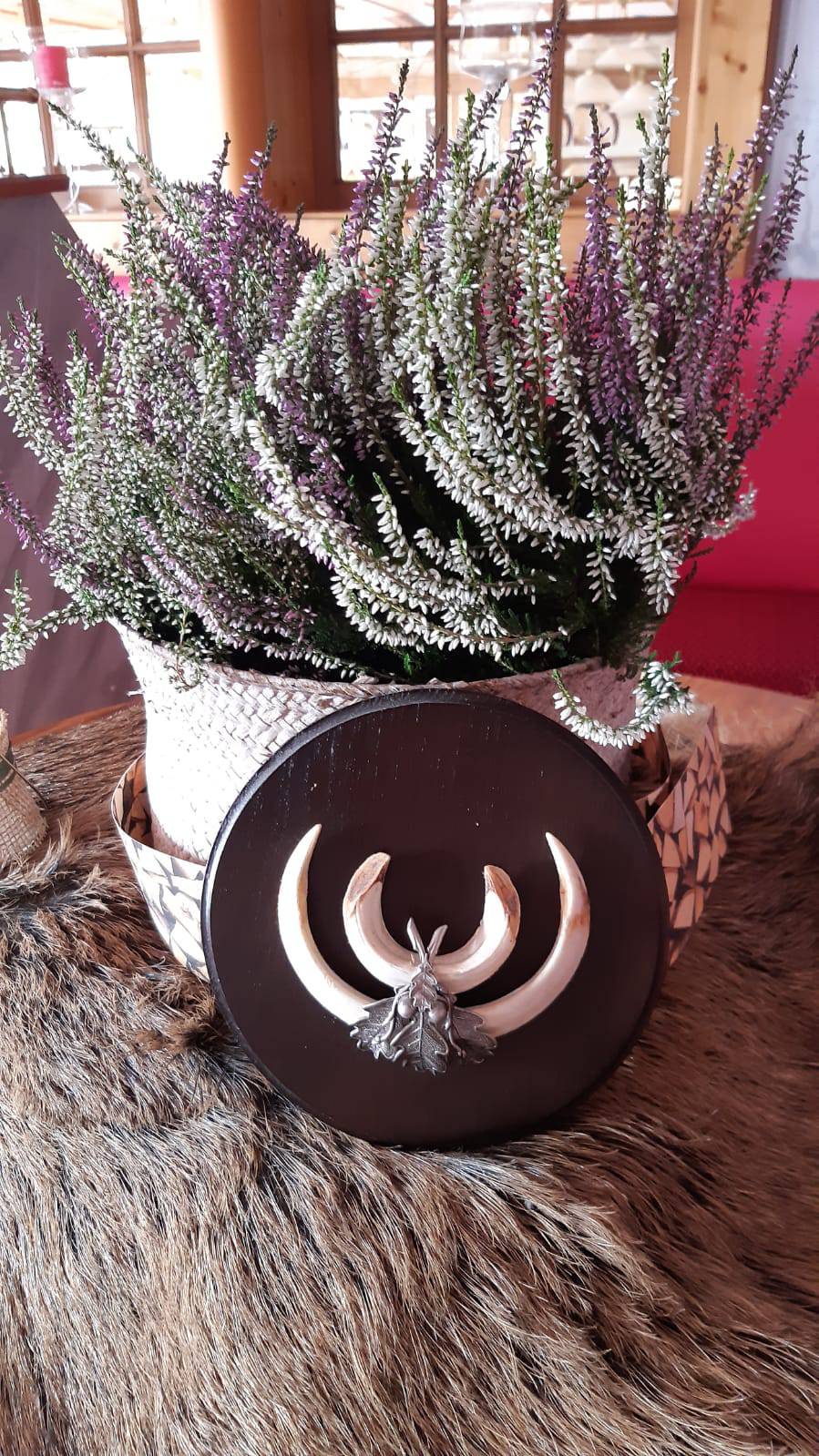 Aktionswochen "Wilde Sau" Symbolfoto