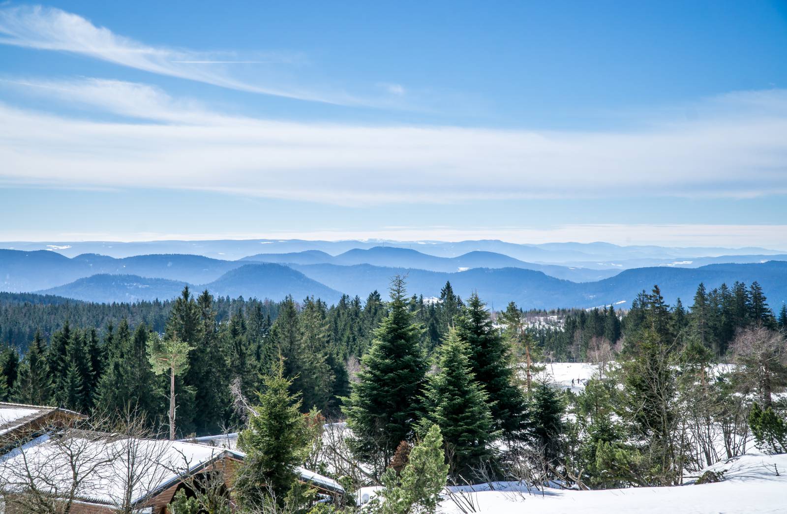 Schliffkopf-Gedichte Symbolfoto