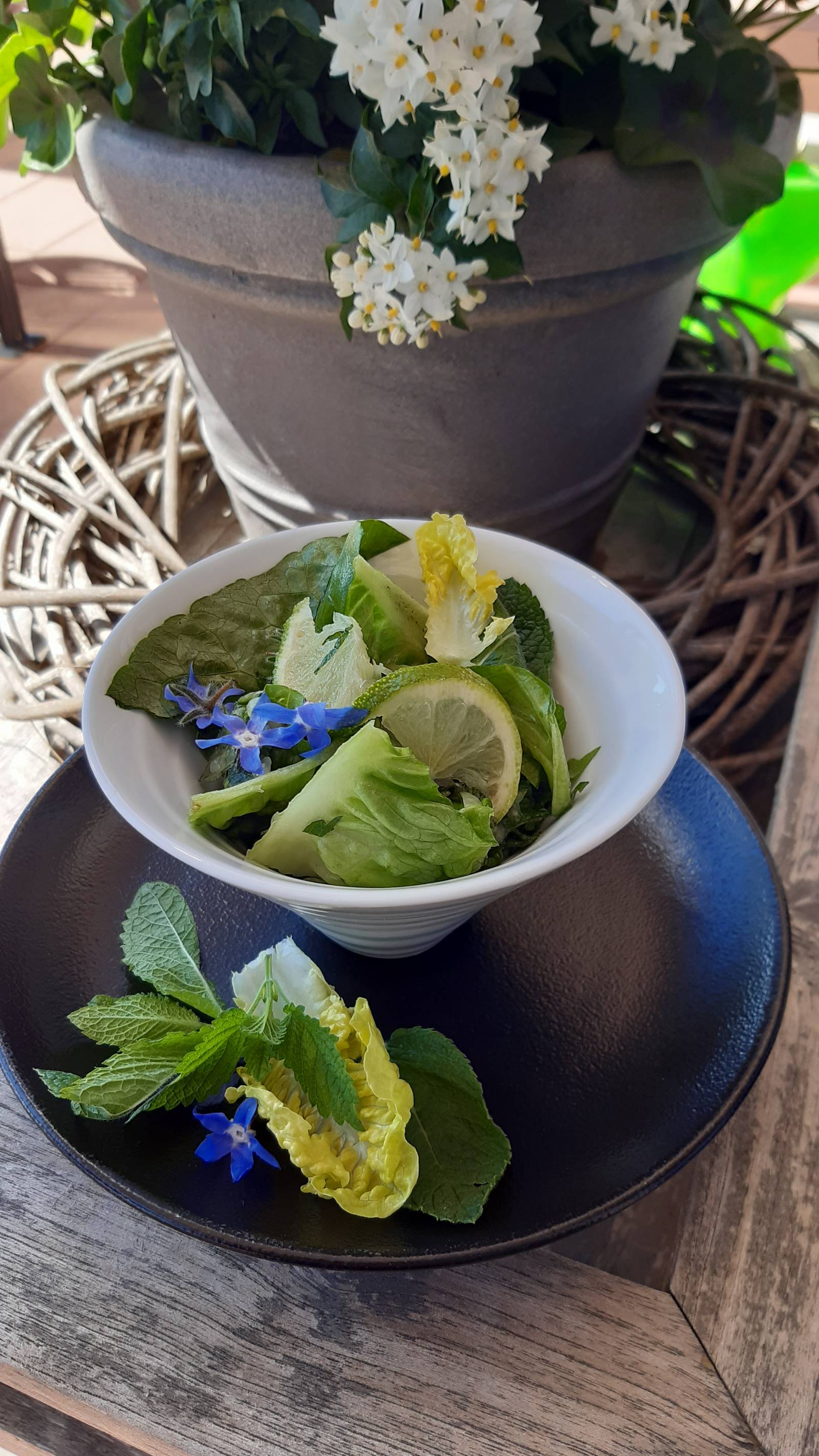 Sommer - Basisch - Gesund Symbolfoto