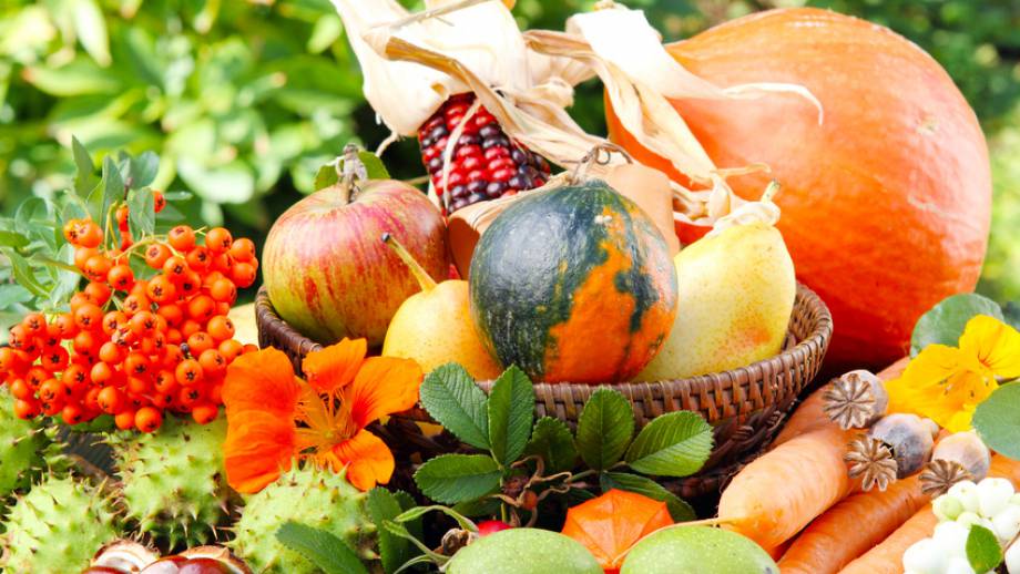 Herbst-Idee Symbolfoto