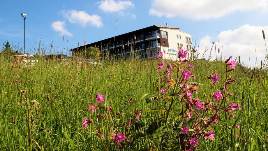 Sommer, Sonne & Natur Pur Symbolfoto