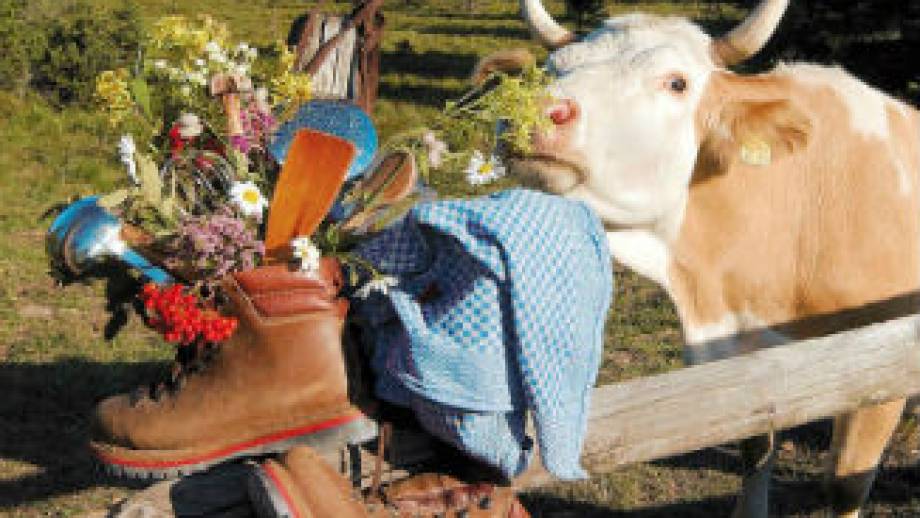 Grindenfest auf dem Schliffkopf Symbolfoto