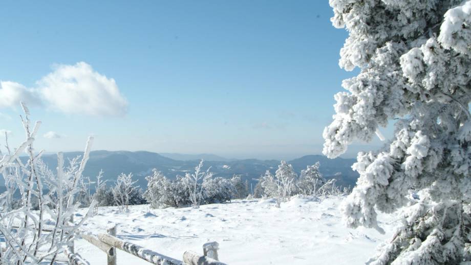 Winterwonderland Symbolfoto