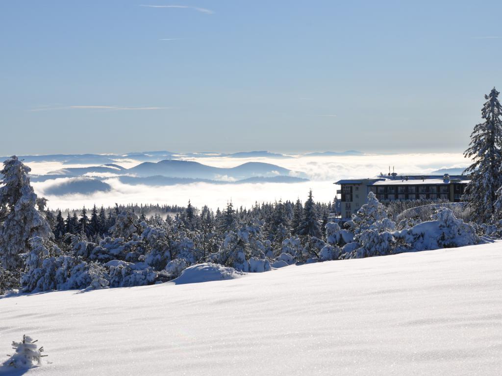 Schneelandschaft im Nebel mit Sonnenschein