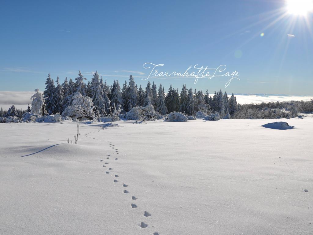 Spuren im Schnee in traumhafter Schwarzwald Landschaft