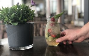 Toni´s Bar-Special - Sommerlicher Cocktail , Bild 1/2