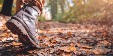 HerbstZEIT auf dem Schliffkopf, Bild 2/2